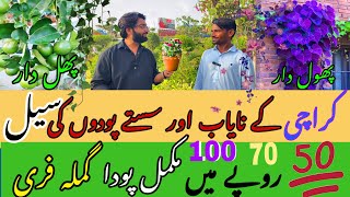 Shocking Nursery Prices Revealed  cheapest Nursery Karachi [upl. by Enniroc]