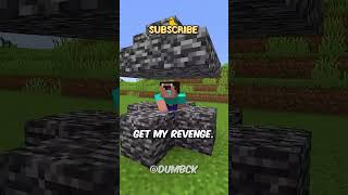 TODAY I FINALLY GET REVENGE ON THE NOOB IN MINECRAFT 🛍️ shorts [upl. by Ahmad410]