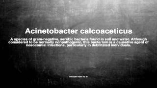 Medical vocabulary What does Acinetobacter calcoaceticus mean [upl. by Eiger]