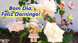 Mensagem de Bom Dia Feliz Domingo Tenha um Domingo Abençoado [upl. by Lasyrc]