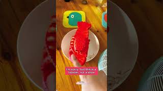 🦐🦐🦐Cubpi mistook his pair of slippers for a lobster Hilarious video toysdiy funny trending [upl. by Eidnarb]