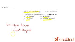 auxin in plants is not meant for Or Cell elengation in plants is caused by  11  PLANT GROWTH A [upl. by Nove]