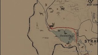 Red Dead Redemption 2 Hooded Oriole amp Northern Cardinal Location [upl. by Ayidah]