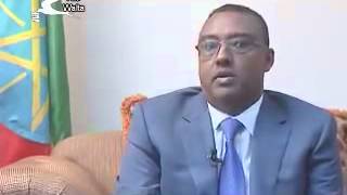 Interview with HE Demeke Mekonnen on current issues  Walta [upl. by Meekyh]