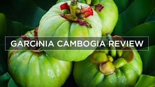 Garcinia Cambogia Weight Loss amp Side Effects  Review [upl. by Ecnatsnok418]