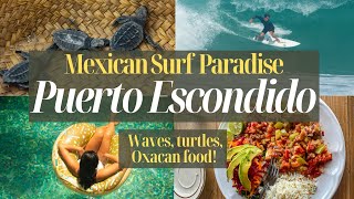 Puerto Escondido Oaxaca Surfing and Saving Sea Turtles [upl. by Aleira625]