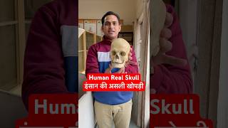 Human Real Skull  इंसान की असली खोपड़ी कैसी होती है viral trending shorts youtubeshorts shots [upl. by Adham610]