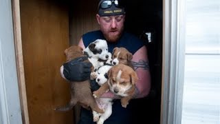 Animal Rescue Team Rescues Hundreds [upl. by Elleved428]