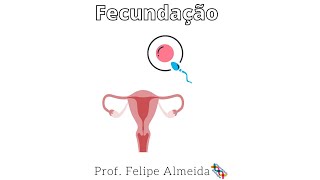 Fecundação Humana  Prof Felipe Almeida shorts [upl. by Melleta]