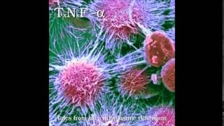 Tumor Necrosis Factoralpha quotUnfolded protein response to endoplasmic reticulum stress quot [upl. by Drageruaeb924]