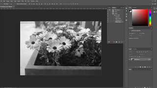 How to run an automated batch command in Photoshop [upl. by Kellina]