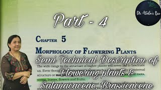 Morphology of flowering plants  Part 4  Class 11 Biology  NCERT NEET [upl. by Adlesirhc]