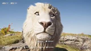 makedonian lion map location  assassins creed odyssey walkthrough guide  lone lion trophy [upl. by Devinna]