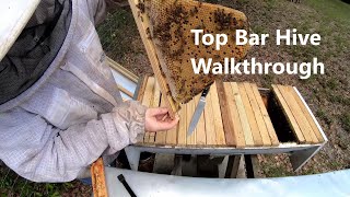 Top Bar Hive Walkthrough Pros and Cons [upl. by Poree611]