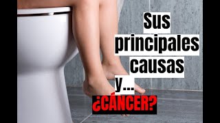 Heces con sangre en personas ¿DEBO PREOCUPARME 😱 [upl. by Cosma]