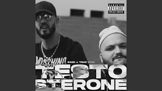 Testostérone feat Trap King [upl. by Einram]