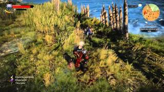 The Witcher 3 respawning Foglets 112 [upl. by Ehpotsirhc384]