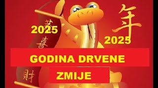 2025 GODINA POD VLADAVINOM DRVENE ZMIJE KINESKI HOROSKOP [upl. by Philipp966]