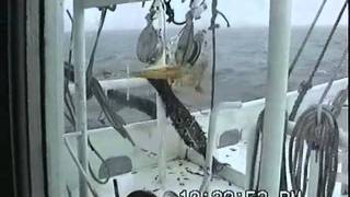 Louisiana Shrimping in the 90s [upl. by Nitin]