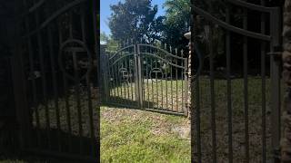 Rockledge Florida Cemetery haunted creepy shorts [upl. by Haraj]