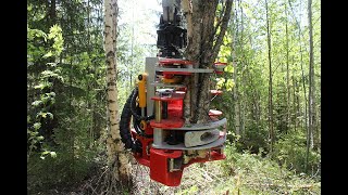 Nisula 285E accumulating energy wood head working in Latvia [upl. by Anialeh]