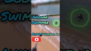 Googan swimmer flirts with the sharp hook warrnambool fishingfails [upl. by Haelak]