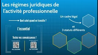 BTS Droit  Th1 Chap1  Les régimes juridiques de lactivité professionnelle [upl. by Arraeis]