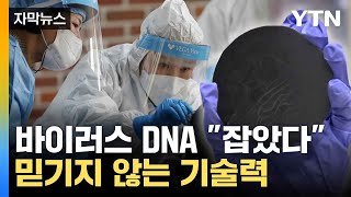 자막뉴스 국내 연구진의 놀라운 기술력 획기적으로 감염 밝혀내  YTN [upl. by Kruter]