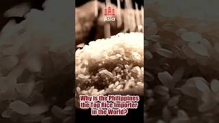 Why is the Philippines the Top Rice Importer in the World [upl. by Yttik95]