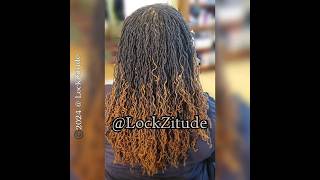 Braiding amp Banding Your Sisterlocks amp Microlocks for Great Braidout Results [upl. by Livvi]