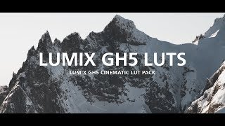 Lumix GH5  GH6 LUTs  Panasonic GH5 LUTs Cinematic [upl. by Lind]