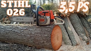 Stihl 026 im Wald Vollmeißelkette und 35 PS [upl. by Kramlich]