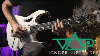 Steve Vai  Tender Surrender  Guitar Cover [upl. by Sabelle]