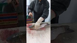 Cleaning farmed fish [upl. by Ramma]