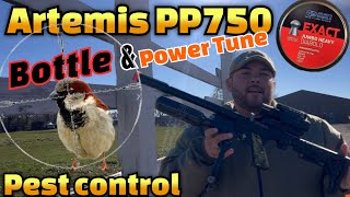 Artemis Pp750 pest Controlhunting [upl. by Tumer856]