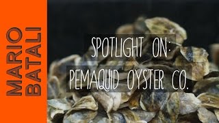 Spotlight on Pemaquid Oyster Company [upl. by Nnyrb966]