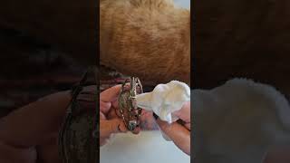 How To Clean Silver Fast amp Easy Instantly Remove Tarnish From Jewelry howto silver clean [upl. by Gard]