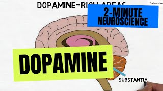 2Minute Neuroscience Dopamine [upl. by Eliseo]