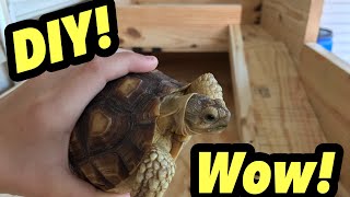 How to build the best DIY tortoise enclosure with step by step instructions [upl. by Atinnek]