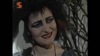 Siouxsie Sioux 1980s Interviews  part 1 [upl. by Noedig]