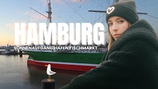 Hamburg IRL  Fischmarkt Sonnenaufgang Hafen [upl. by Ahsoik116]