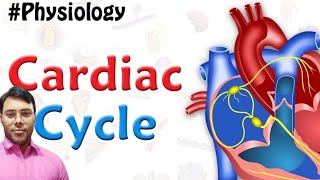 cardiac cycle or heart beat  cardiac cycle in hindi so easy [upl. by Efeek]