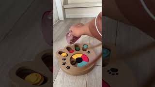 unboxing my new puzzle dog toy ❤️ puzzle dog fyp pets unboxing [upl. by Manchester]