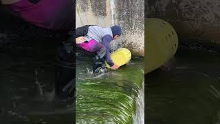 Tinakloban ng basket ang malaking isda sa bukana ng dam [upl. by Zertnom]