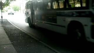 MTA Bus Orion VII amp TMC RTS Q39 at Forest Ave [upl. by Anahpets]