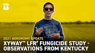 Xyway™ LFR® Fungicide Study  Observations from Kentucky  Becks Agronomy Update [upl. by Suiram]