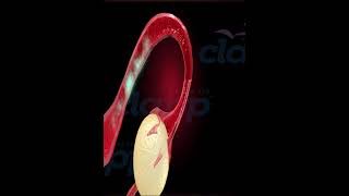 stop menstrual cycle  3D Animation [upl. by Procto891]