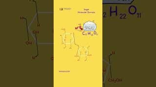 Sugar Molecular Formula  Sugar Chemical Formula  Sucrose  3D Animation  In Science Sugar Formula [upl. by Stafani]