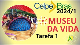 MUSEU DA VIDA  CelpeBras 20241  FONETICANDO [upl. by Weidman]