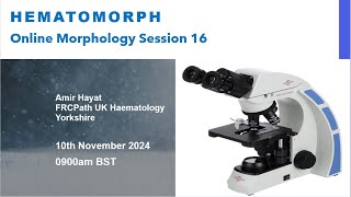 Hematomorph Session for MorphologyFree Online weekly events [upl. by Jourdan]